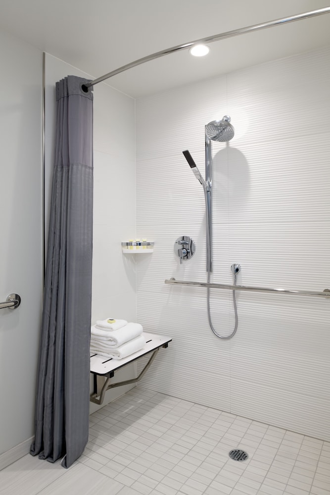 Downtown Skyline View, 1 King Bed, ADA Mobility Accessible w/ Roll-in Shower