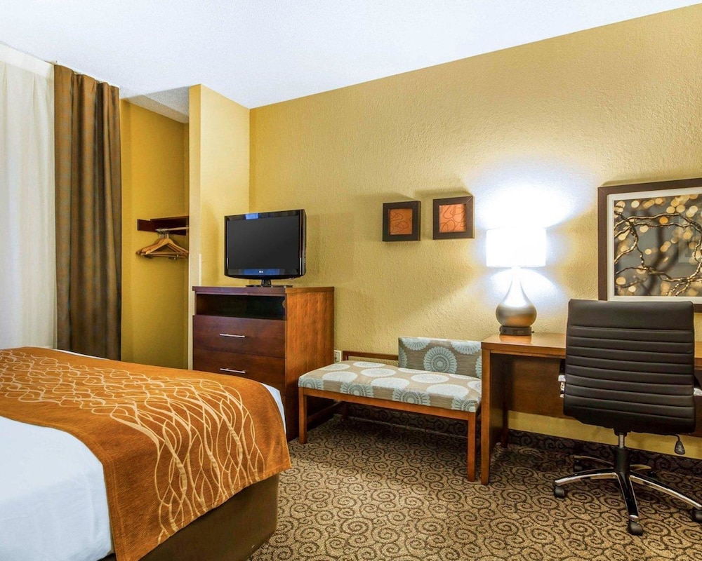 Room, 1 King Bed, Non Smoking