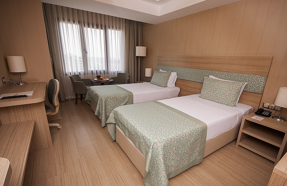 Deluxe Room photo 2