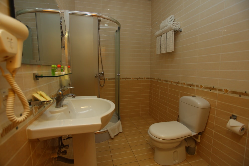 Deluxe Double or Twin Room photo 2