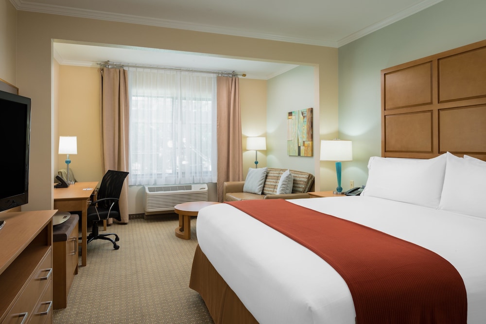 Suite, 1 King Bed - Photo 4
