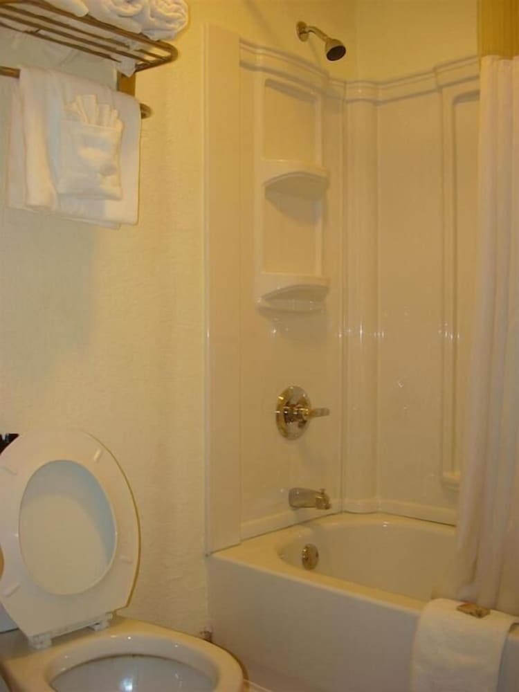 Standard Room, 1 King Bed, Smoking, Refrigerator & Microwave - Photo 3