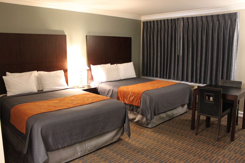Basic Double Room photo 1