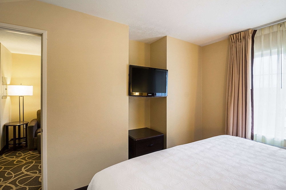 Suite, Separate Bedroom with 1 King Bed, Kitchen and Sofabed, Non Smoking photo 3
