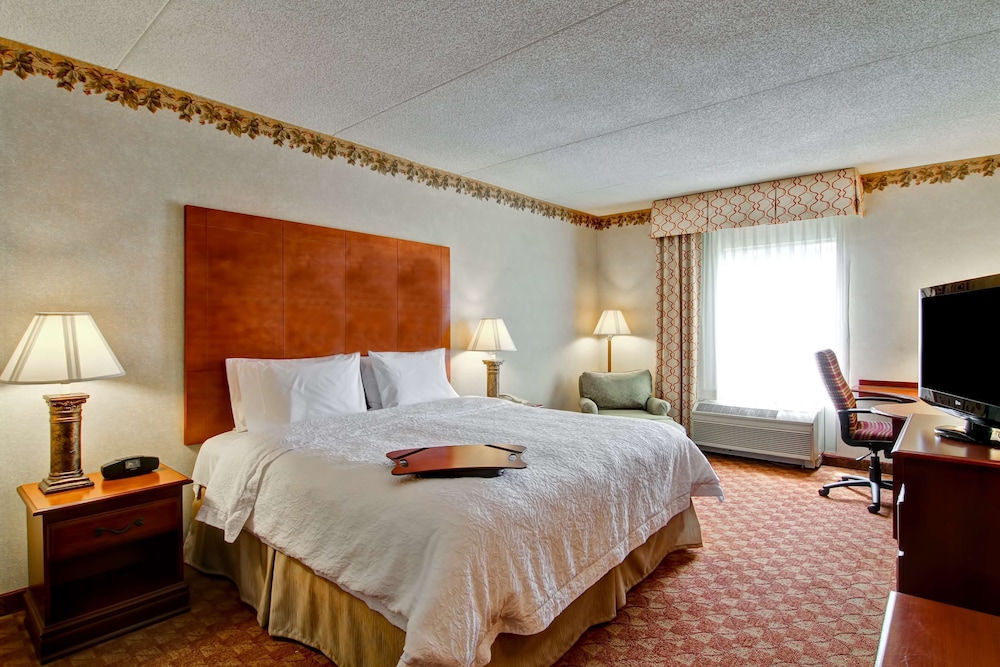 Room, 1 King Bed, Accessible, Non Smoking - Photo 2