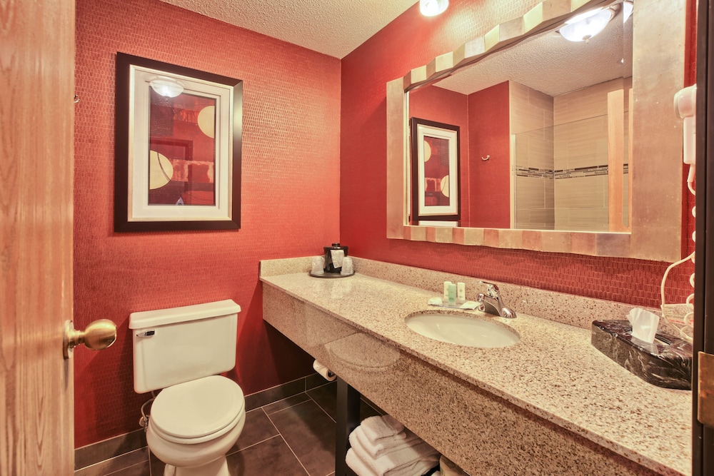 Suite, 1 Bedroom, Non Smoking (1 King and 2 Person Sofa Bed) - Photo 2