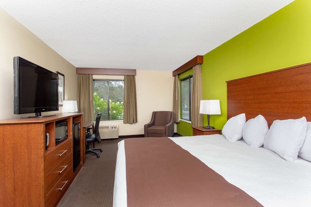 Room, 1 King Bed, Non Smoking photo 1