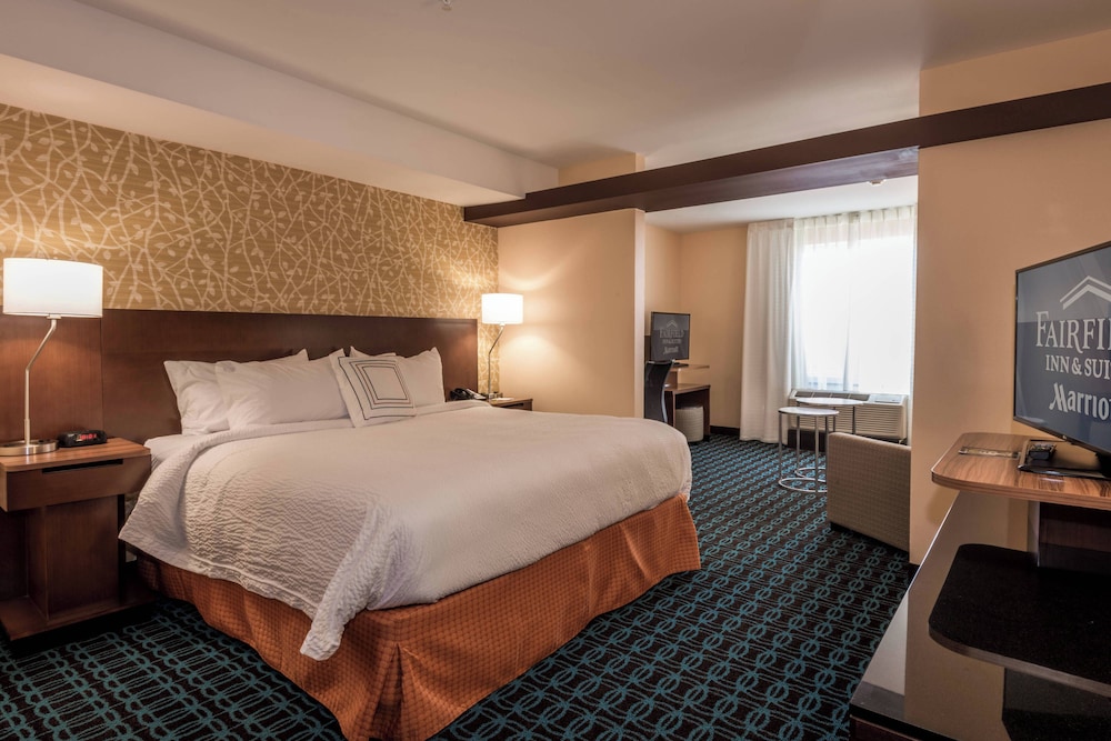 Suite, 1 King Bed with Sofa bed (Mobility Accessible, Roll-In Shower) photo 2