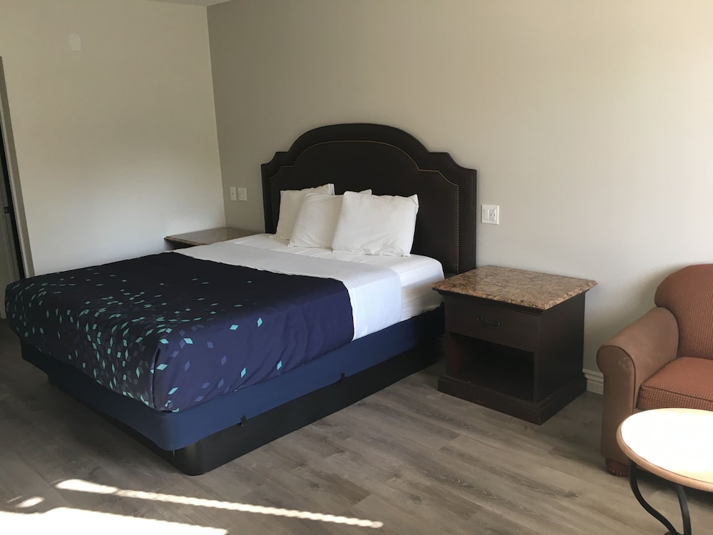 Room, 1 King Bed photo 1