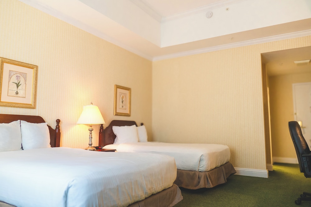 Classic Double Room, 2 Double Beds photo 2