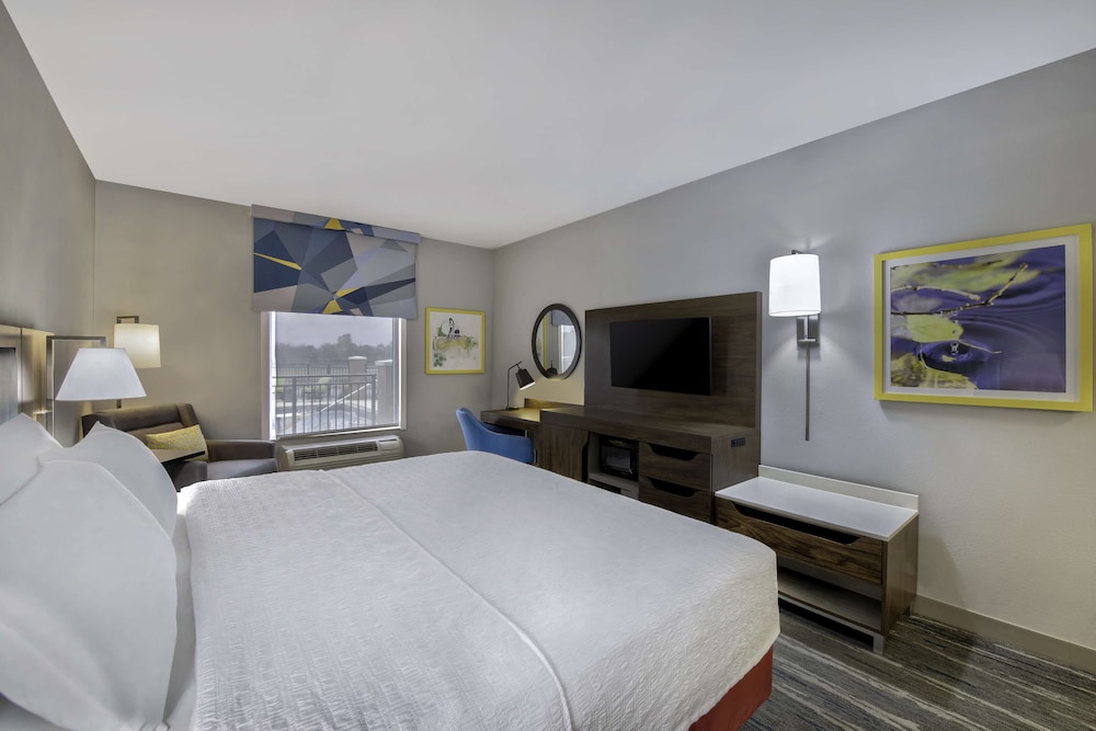 Room, 1 King Bed, Accessible - Photo 5