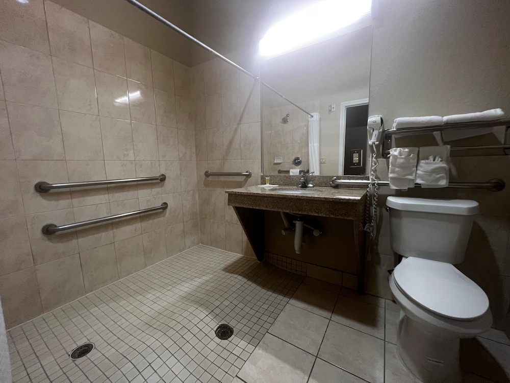Room, 1 King Bed, Accessible, Non Smoking (Mobility Accessible) - Photo 5