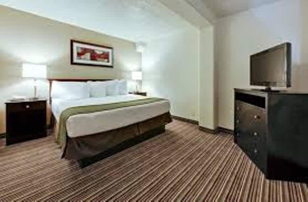 Studio Suite, 1 King Bed, Non Smoking (Roll-In Shower) photo 3