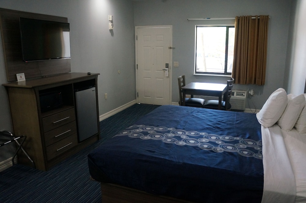Standard Single Room, Accessible photo 2