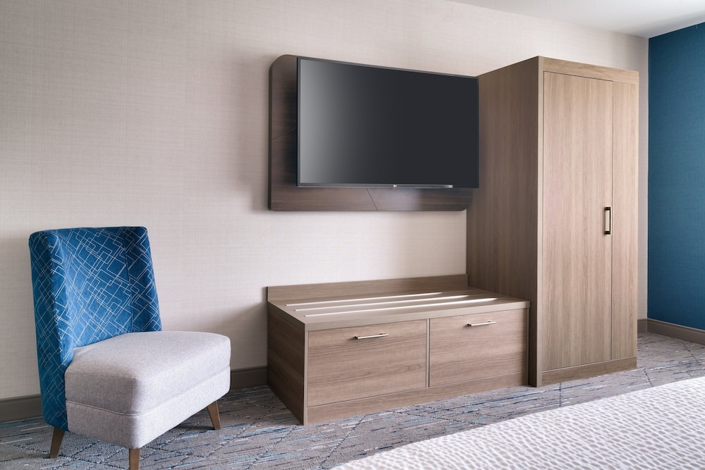 Suite, 1 King Bed, Accessible (Communication, Accessible Tub) - Photo 1