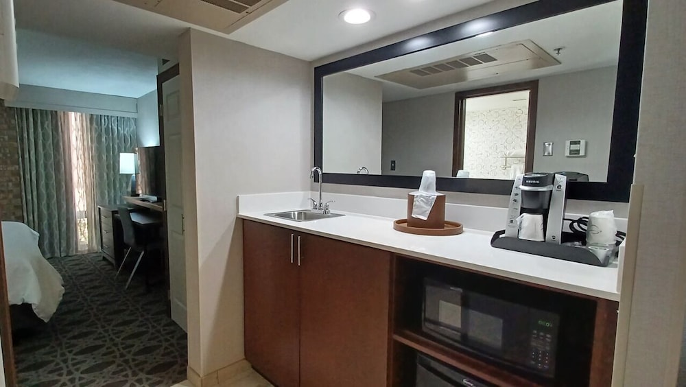 Suite, 1 King Bed - Photo 3