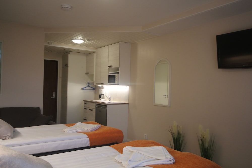 Traditional Studio, 2 Twin Beds photo 2