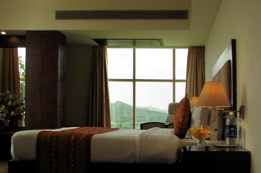 Suite, Multiple Beds