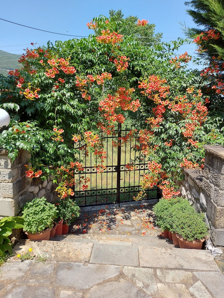Standard Room, Balcony, Garden View photo 3