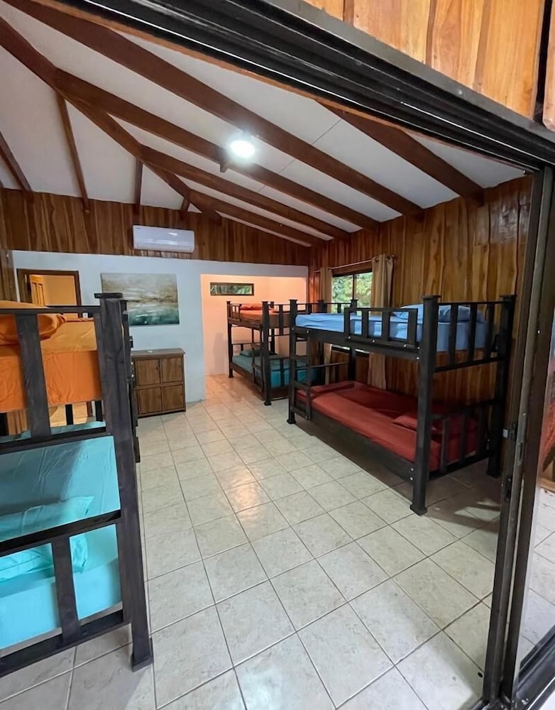 Standard Shared Dormitory photo 2