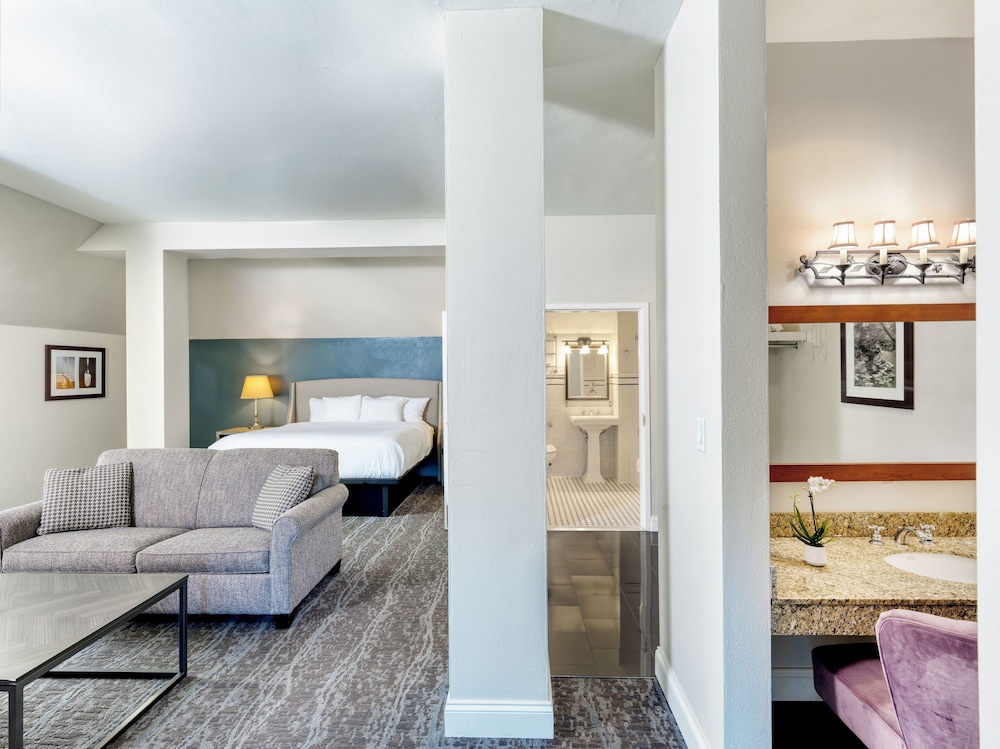Executive Suite, 1 King Bed