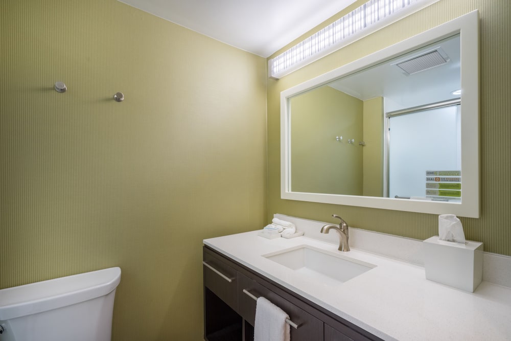 Premium Suite, 1 King Bed, Accessible (Roll-In Shower) photo 2