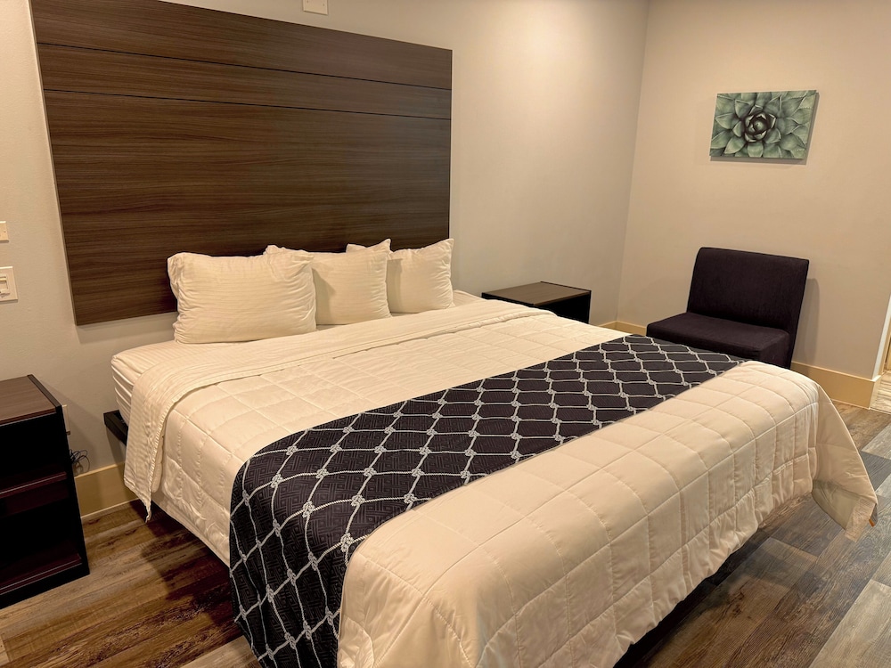 Single Room, 1 King Bed, Non Smoking