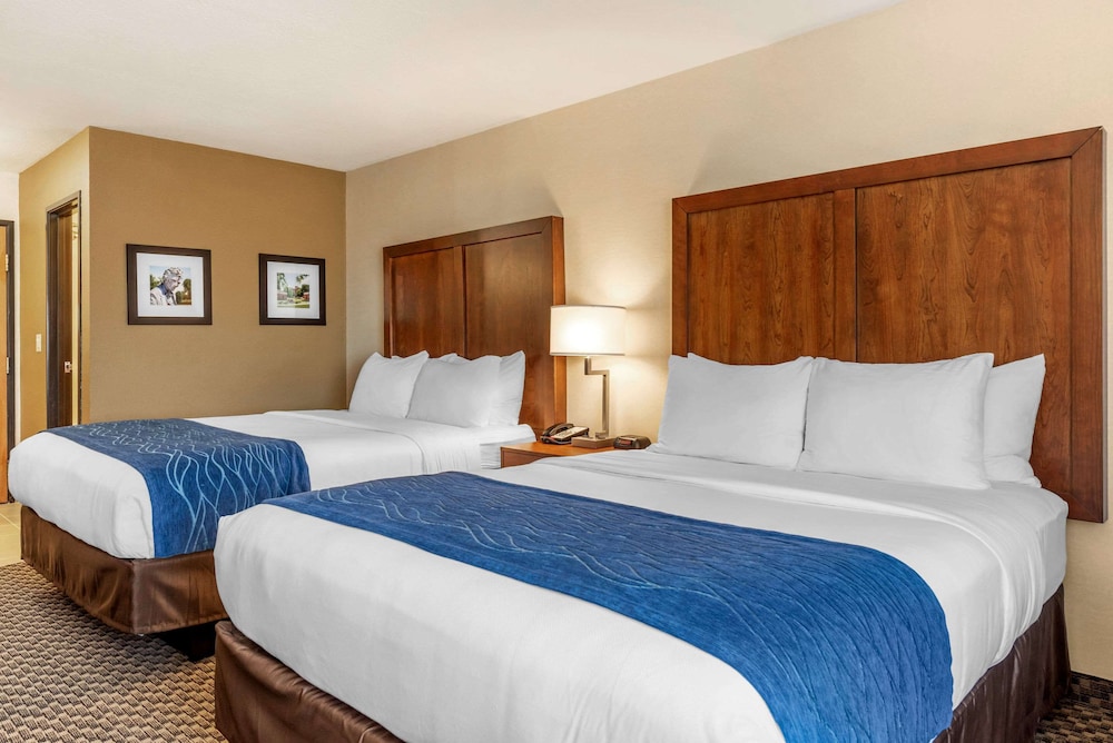 Suite, Multiple Beds, Accessible, Non Smoking (Accessible Tub) - Photo 1