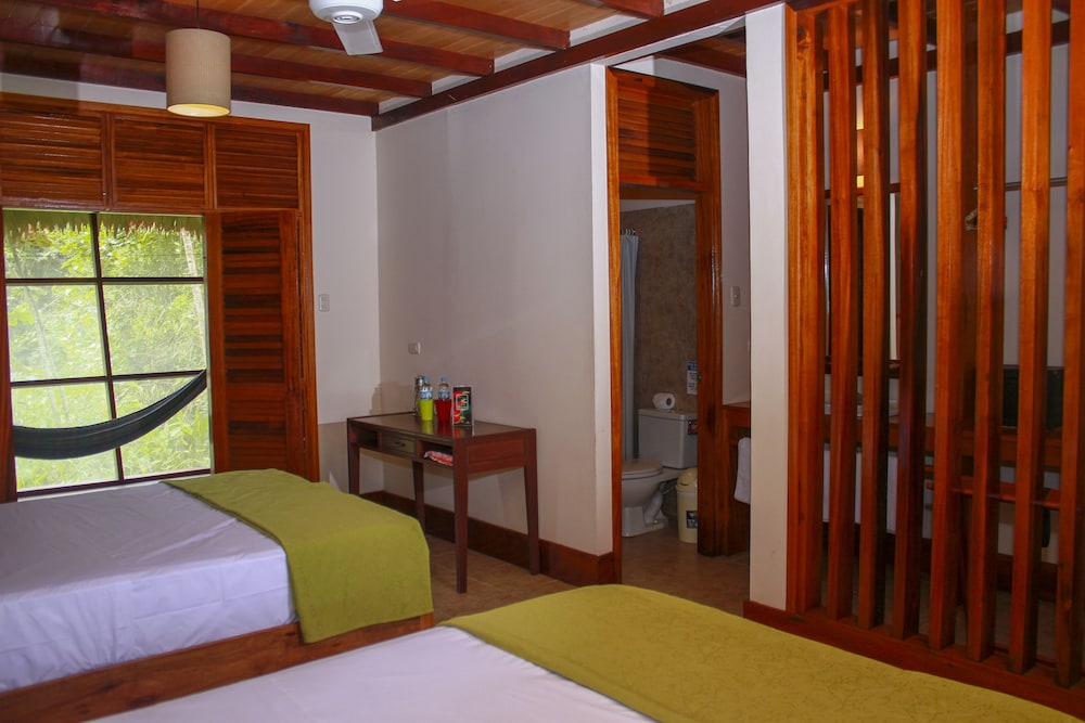 Standard Double Room photo 3