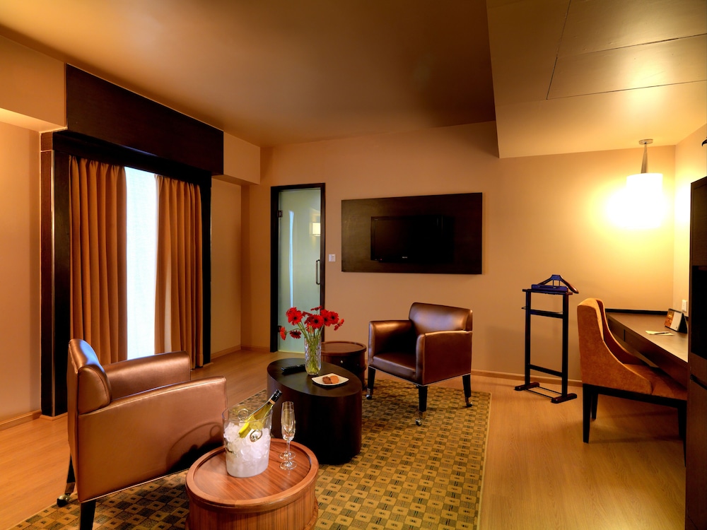 Premium Suite photo 3