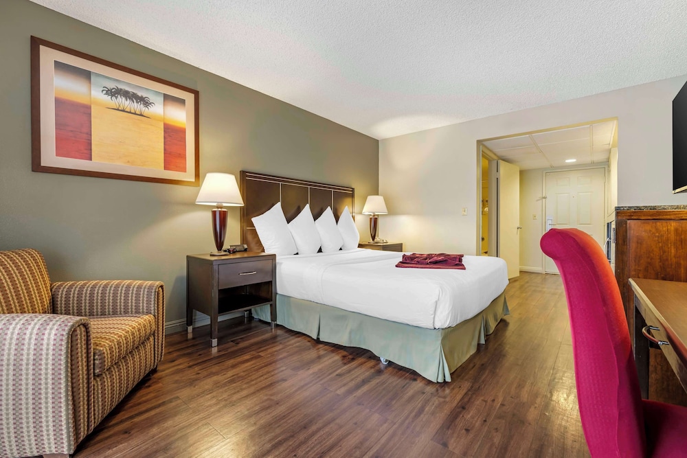 Standard Room, 1 King Bed, Accessible, Non Smoking - Photo 1