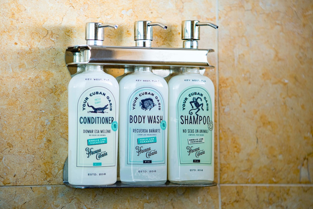 Room, 1 King Bed With Sofa Bed (havana)