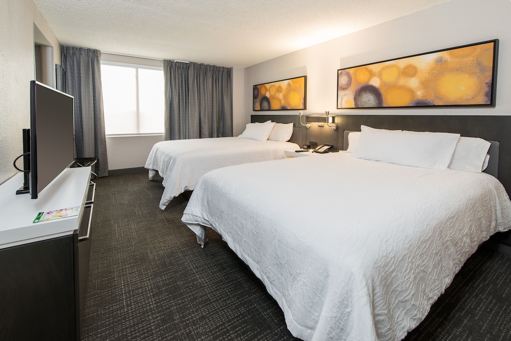 Suite, 1 Bedroom - Photo 2