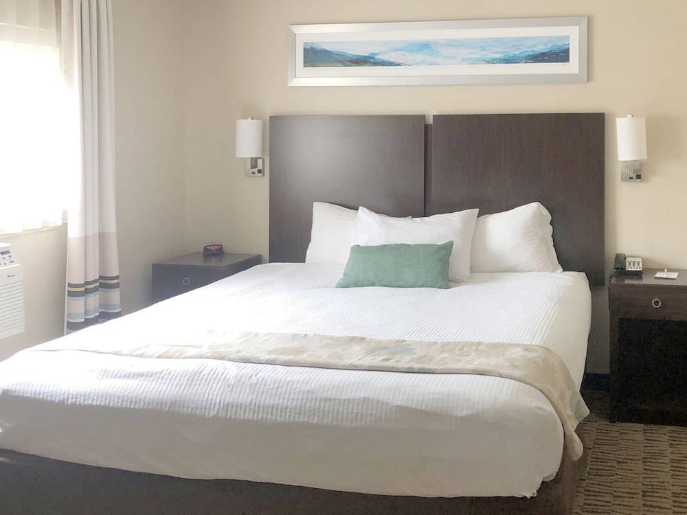 One-King - One Bedroom Suite - Photo 2