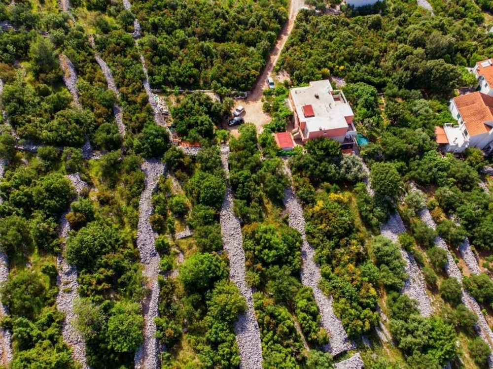 Apartment (Slavka - quite and peaceful location )