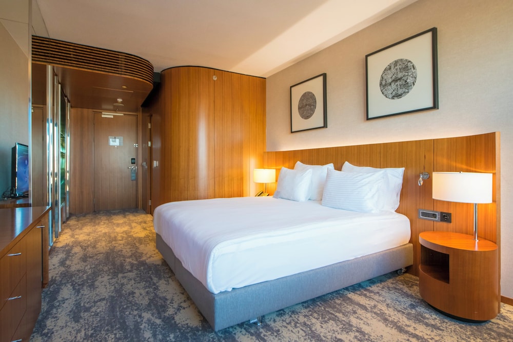 Standard Room, 1 King Bed, Accessible photo 2
