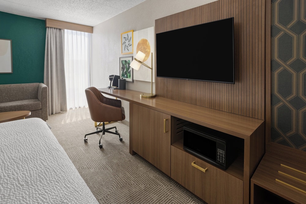 Suite, 1 Bedroom photo 2