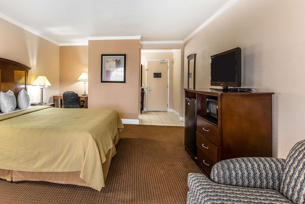 Standard Room, 1 King Bed with Sofa bed, Non Smoking photo 3