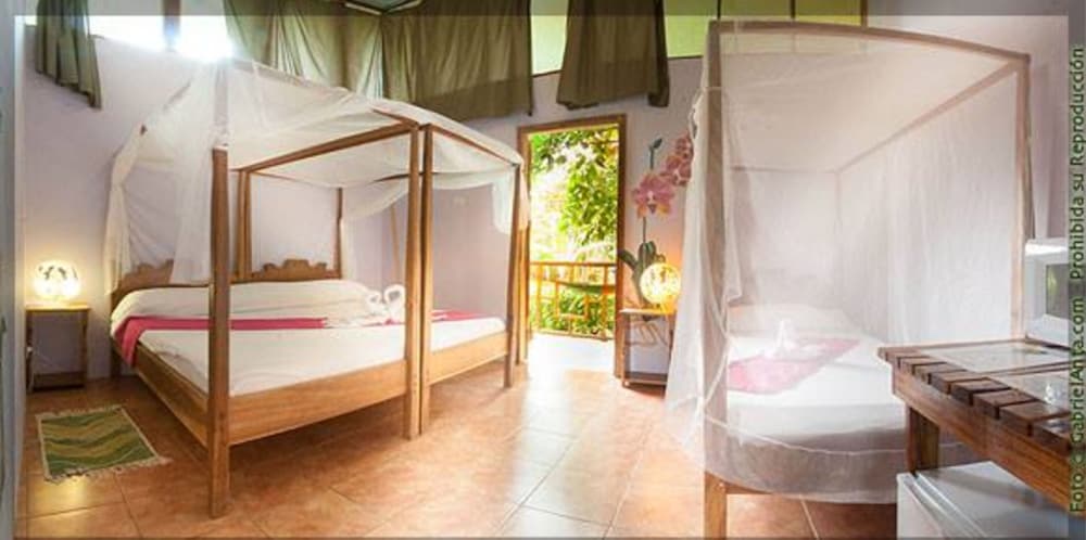 Triple Room, Terrace