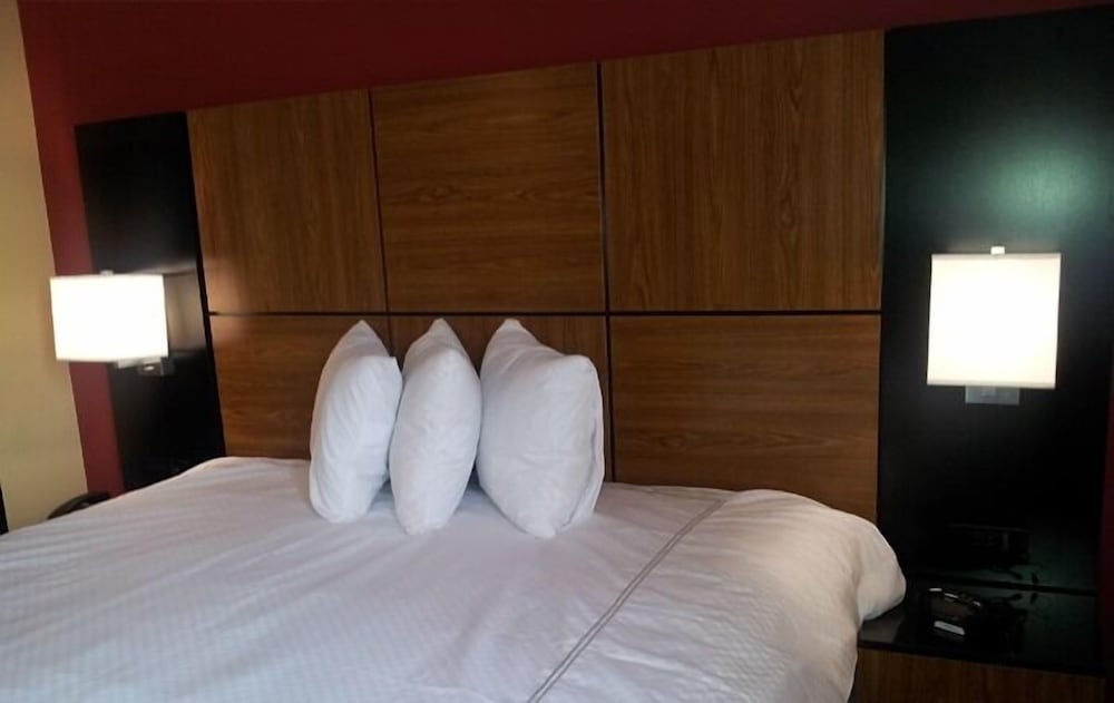 Single Room photo 1