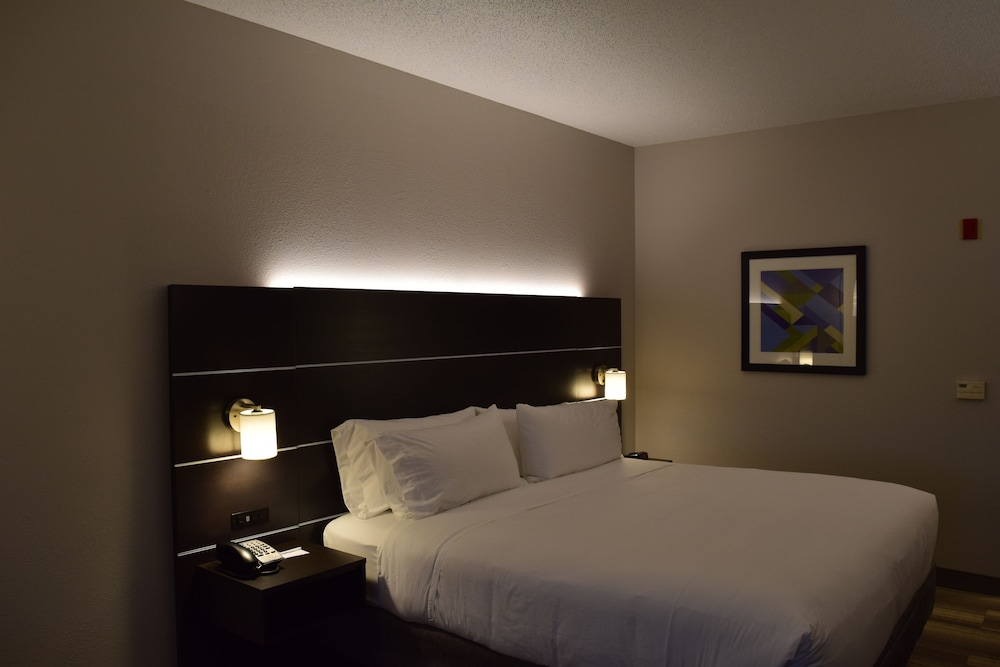 Standard Room, 1 King Bed, Accessible (Communications, Mobil, Roll-In Shower) - Photo 1