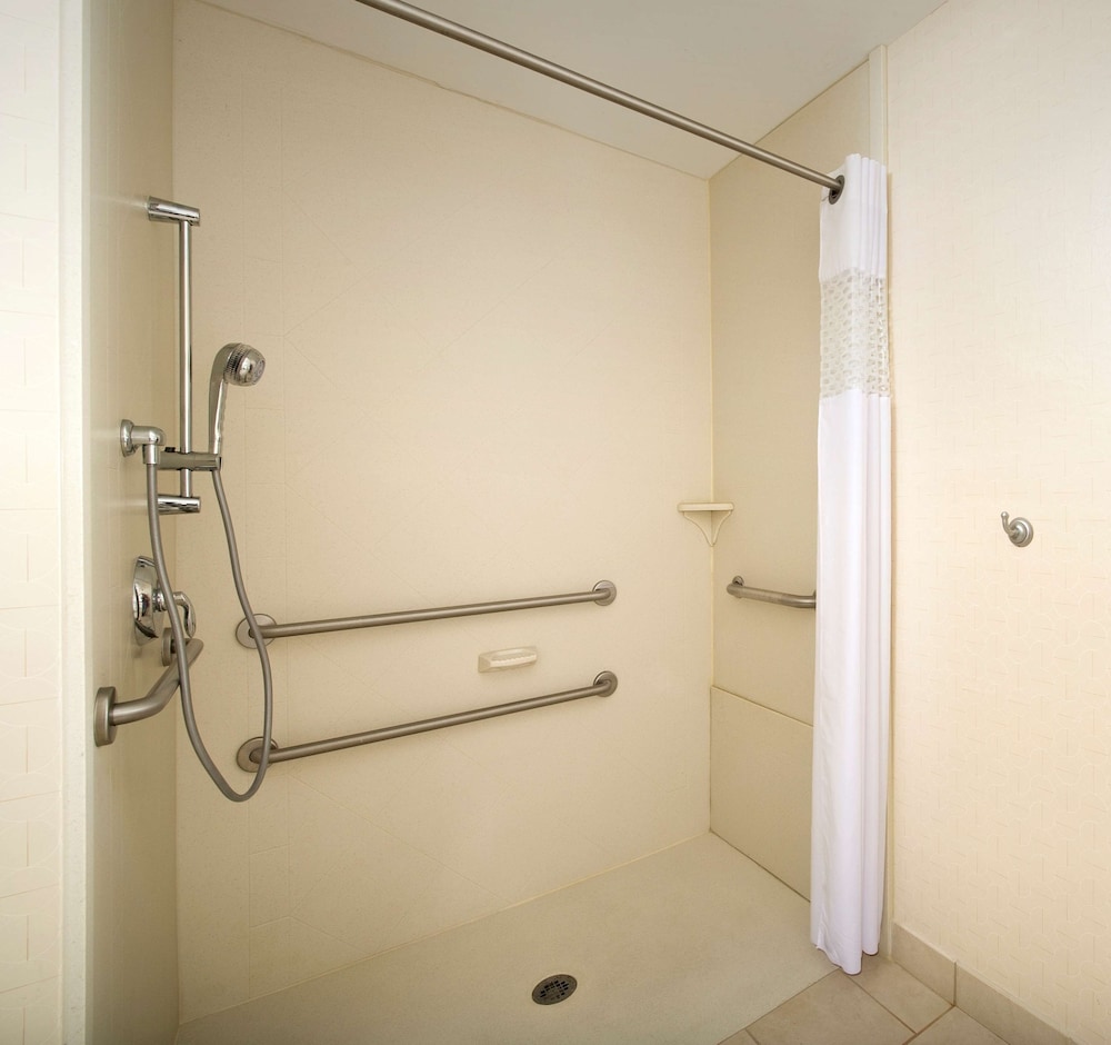 Studio, 1 King Bed, Accessible (Mobility/Hearing, Roll-in Shower) - Photo 4