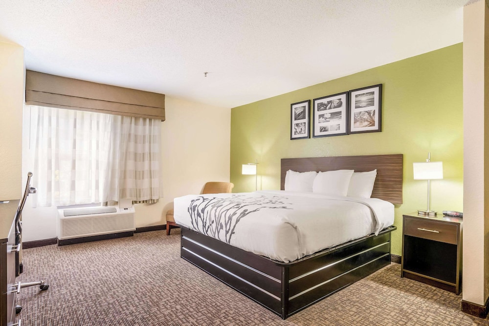 Suite, Non Smoking photo 1