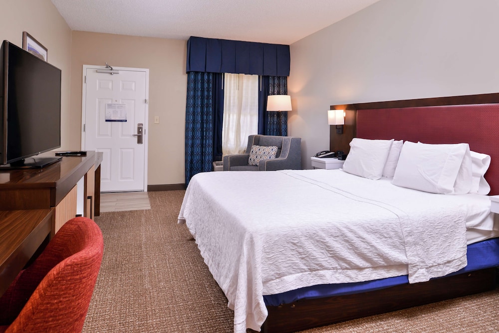 Room, 1 King Bed, Non Smoking photo 1