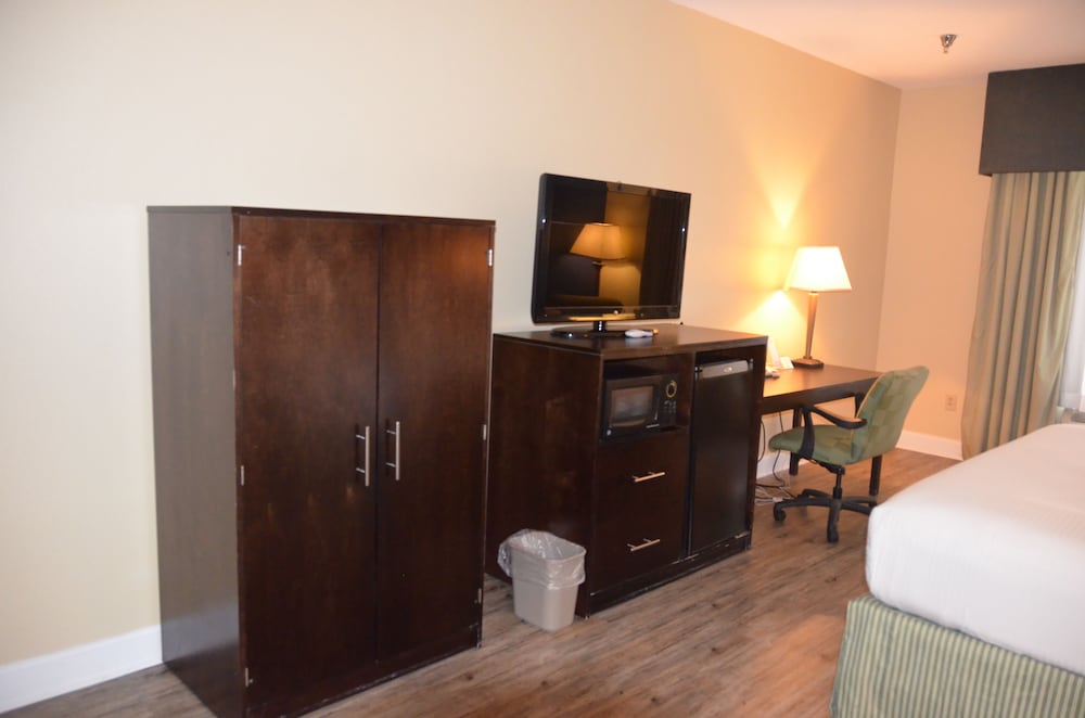 Suite, 1 King Bed - Photo 1
