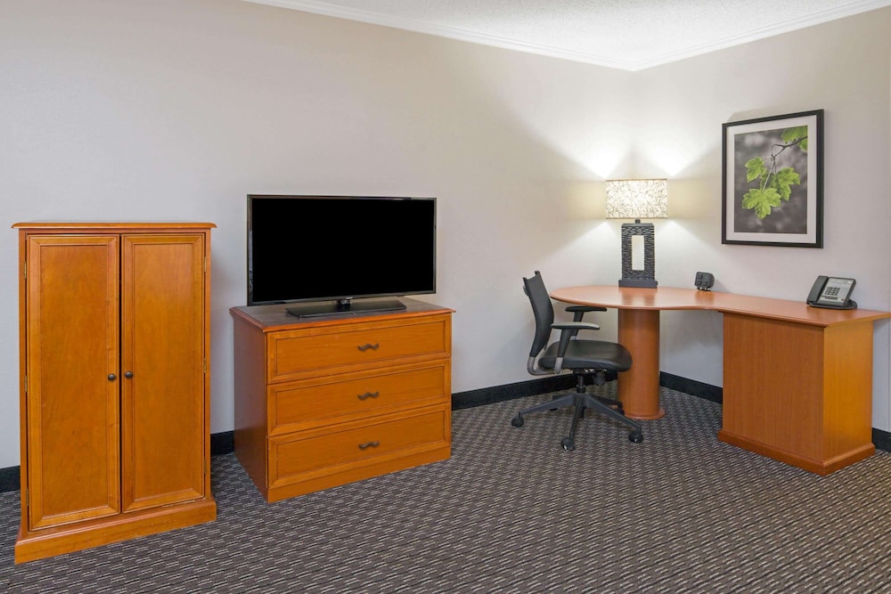 Deluxe Suite, 1 King Bed, Non Smoking - Photo 10