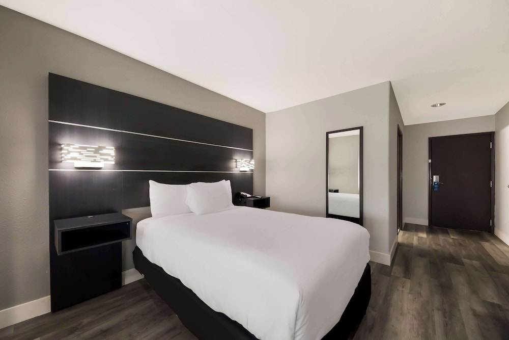 Standard Room, 1 Double Bed, Accessible, Refrigerator & Microwave - Photo 1