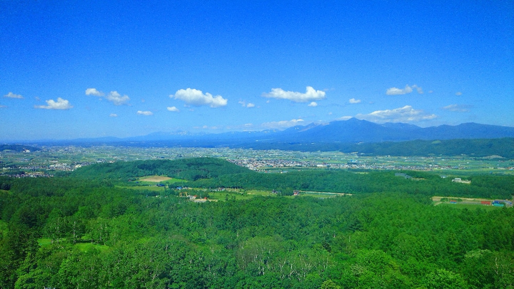 Deluxe Twin Room, Smoking (with Tokachi Mountain View) - Photo 6