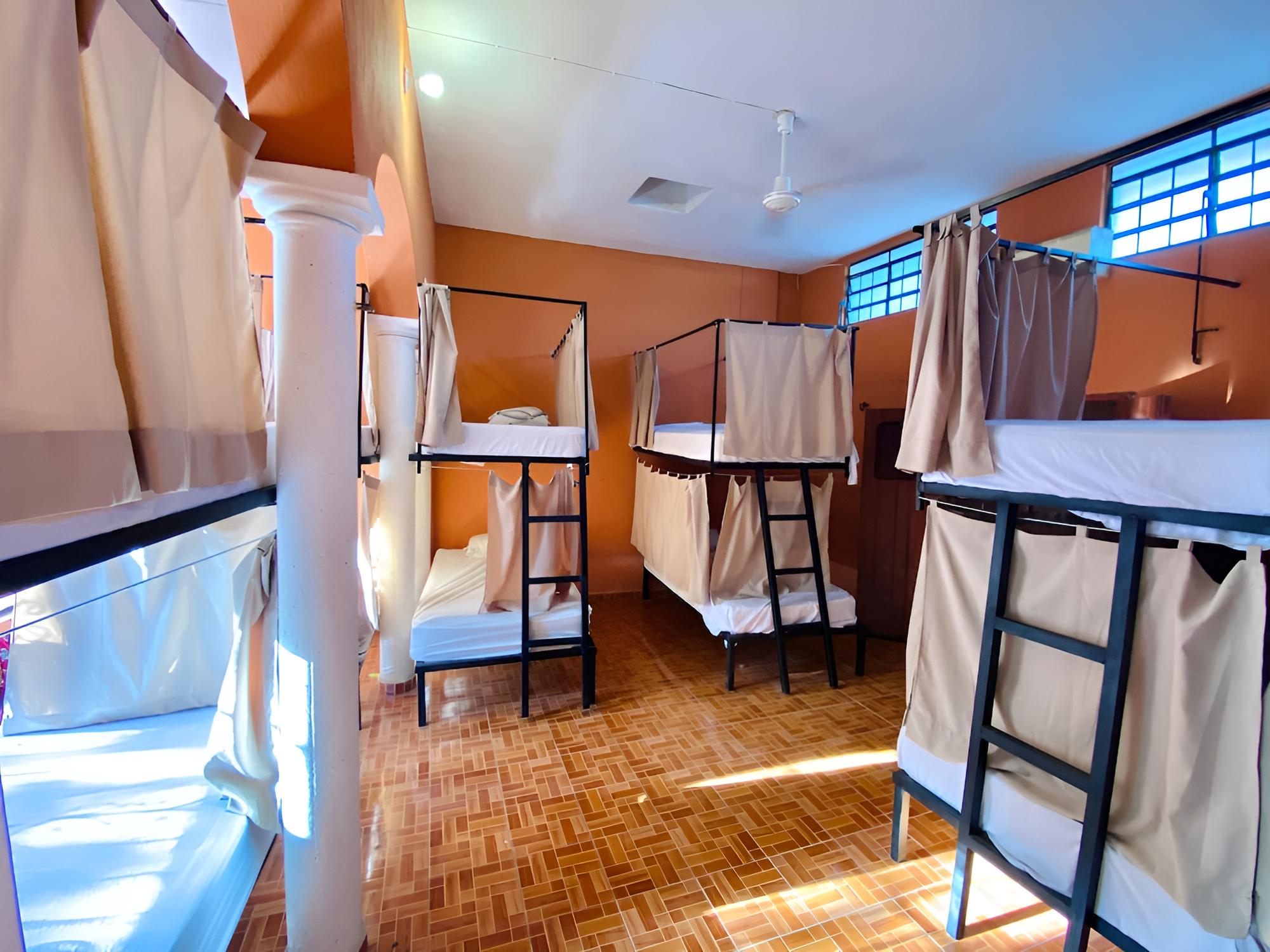 Basic Shared Dormitory photo 2