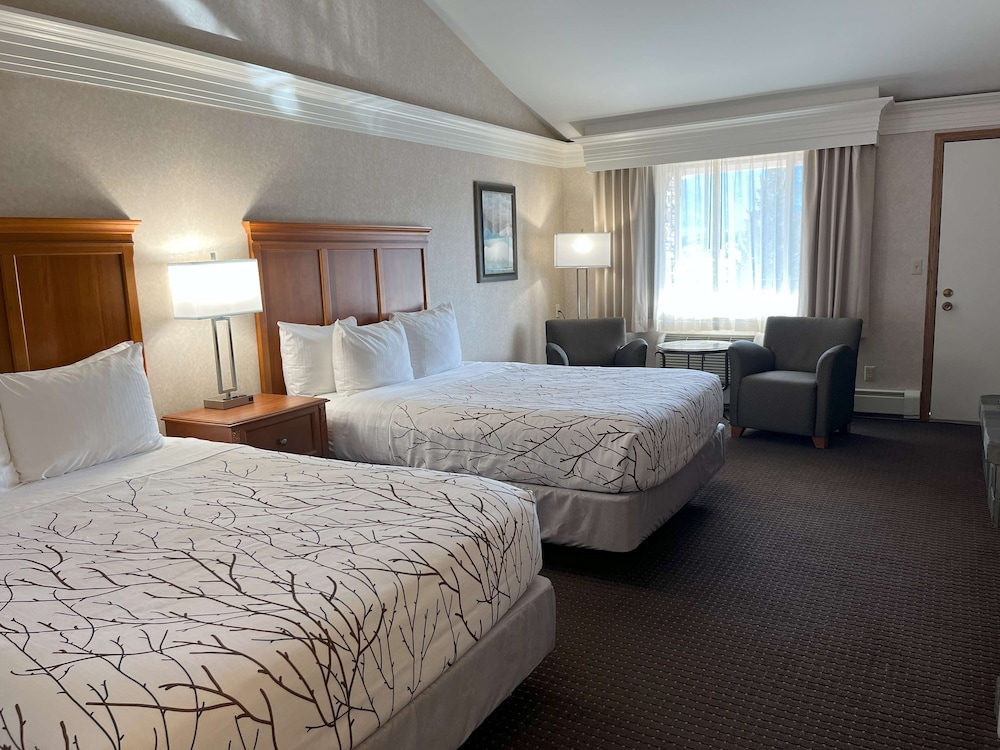 Standard Room, 2 Queen Beds, Refrigerator & Microwave, Mountain View